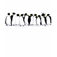 penguin theory shirt