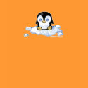 Penguin t-shirts