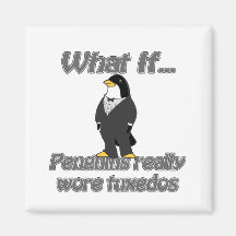 penguin tuxedos magnets