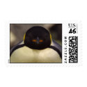 Penguin wink postage