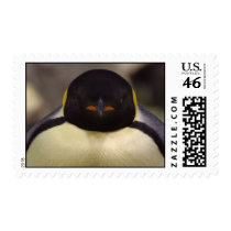Penguin wink postage by Serene_Images Penguin wink postage