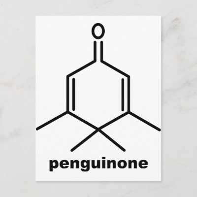 penguinone_postcard-p239331955618425395trdg_400.jpg