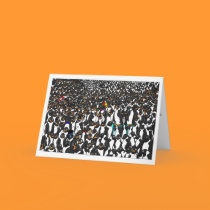 penguins1 GREETING CARD