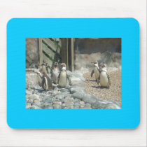 Penguins (blue background) mousepads