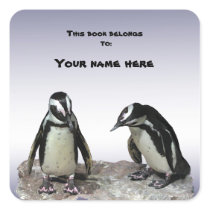 Penguins Bookplate Square Stickers