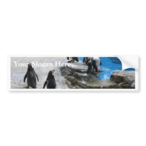 Penguins Bumper Sticker