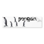 penguins..