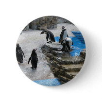 Penguins Button