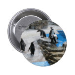 Penguins Button
