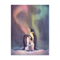 PENGUINS by SHARON SHARPE postcards by sharonsharpe PENGUINS by SHARON SHARPE postcards