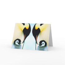 PENGUINS cards by ANGELHELEN PENGUINS cards
