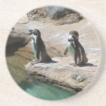 Penguins coasters