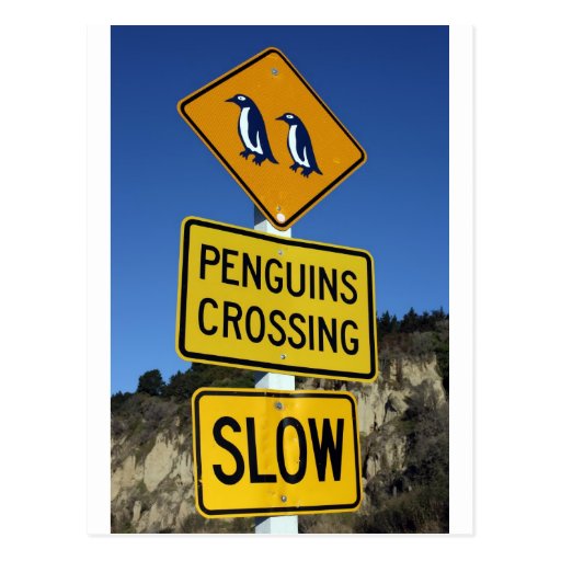 Penguins crossing yellow road sign postcard | Zazzle