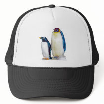 Penguins Drawing hats