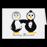 Penguins Getting Married Getting Married