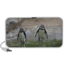 Penguins Go For A Swim iPhone Speakers