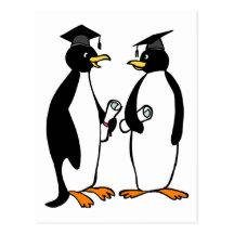 Penguins Graduation Cartoon Post Cards