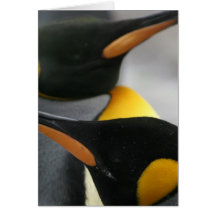 Penguins Greeting Card