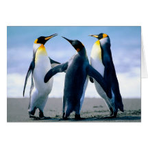 Penguins Greeting Card