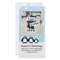 Penguins Holiday photo cards by jennsdoodleworld Penguins Holiday photo cards