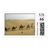 Penguins in the Desert Stamps by Atherine Penguins in the Desert Stamps