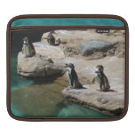 Penguins iPad Sleeves