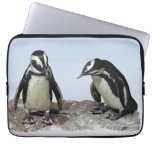 penguin, penguins, bird, birds, nature, wildlife,