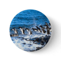 Penguins Leaping