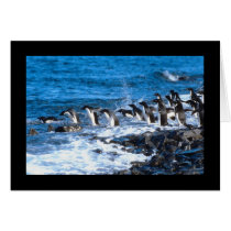 Penguins Leaping Cards