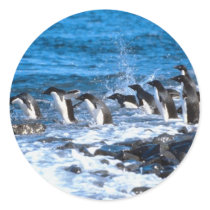Penguins Leaping Sticker