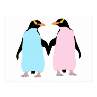 Penguins , Love birds Post Card
