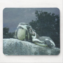 Penguins lunch break mousepads