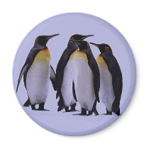 PENGUINS magnet