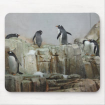 Penguins mousepads