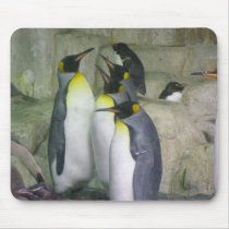 Penguins, mousepad