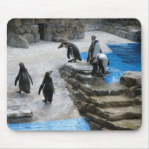 Penguins Mousepads