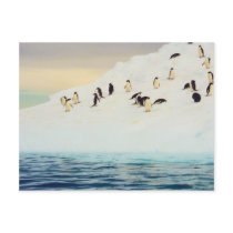 Penguins On Ice, postcard