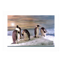 Penguins Photo Poster posters by ironydesign Penguins Photo Poster posters