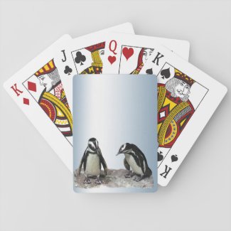Penguins Playing Cards
