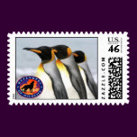 Penguins