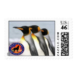 Penguins
