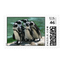 Penguins Postage Stamp
