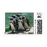 Penguins Postage Stamp