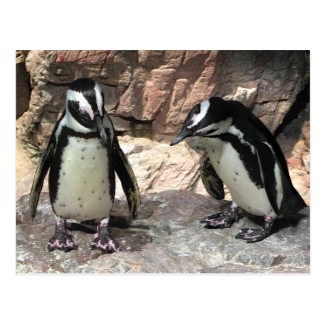 Penguins