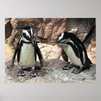 Penguins print