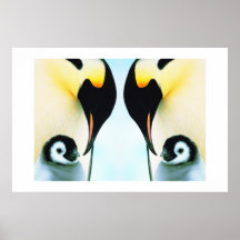 PENGUINS POSTER