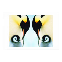 PENGUINS posters