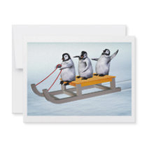 Penguins Sled invitations by Boehm_graphics Penguins Sled invitations