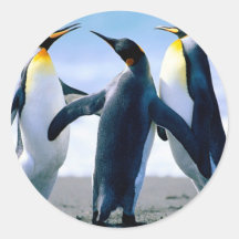 Penguins Sticker
