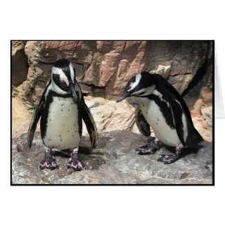 Penguins Valentine